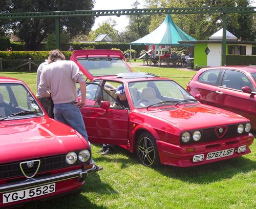 Alfa Romeos displayed in the Beaulieu parkland