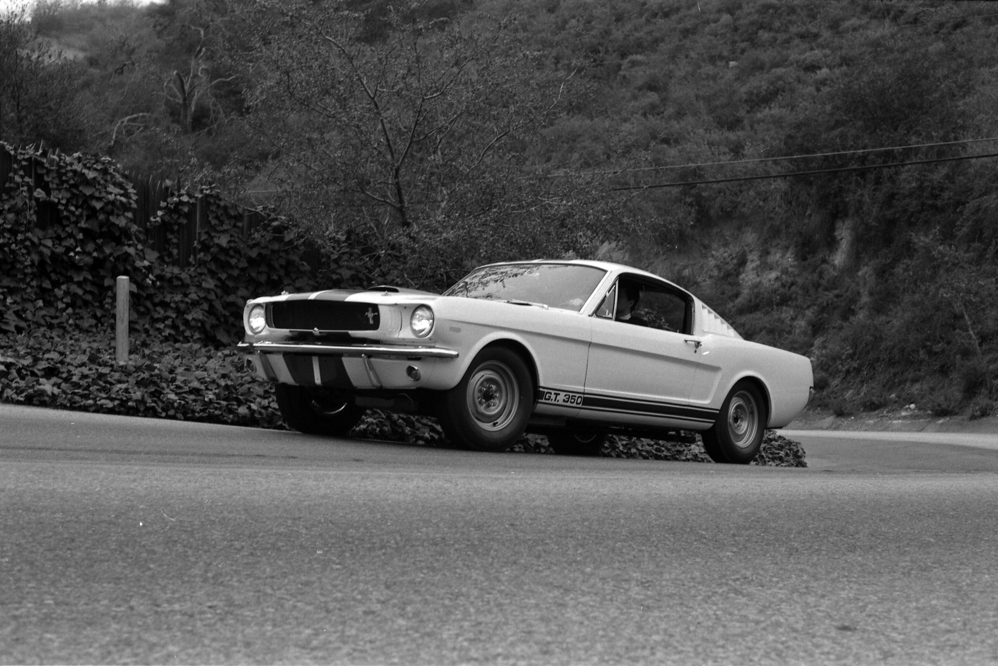 Original Shelby GT350 Mustang Prototypes - 1965 Ford Shelby GT350 Mustang prototype 5S003 during advertising photoshoot, showing stock steel wheels on driver’s side