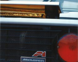 F1 rear grill 2 (1)
