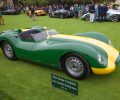 Knobbly Stirling Moss Concept Lawn pic2