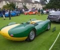Knobbly Stirling Moss Concept Lawn pic4