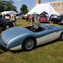 Austin Healey 100M (1955)