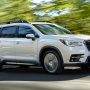 2019_Ascent_Limited_3